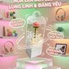 Hoa Hồng Len Handmade Trong Hộp Đèn LED Mới Nhất 2026