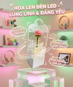 Hoa Hồng Len Handmade Trong Hộp Đèn LED Mới Nhất 2026
