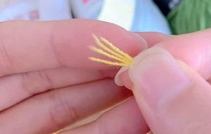 tự kiểm tra số sợi bằng cách tẽ đầu sợi len ra để đếm